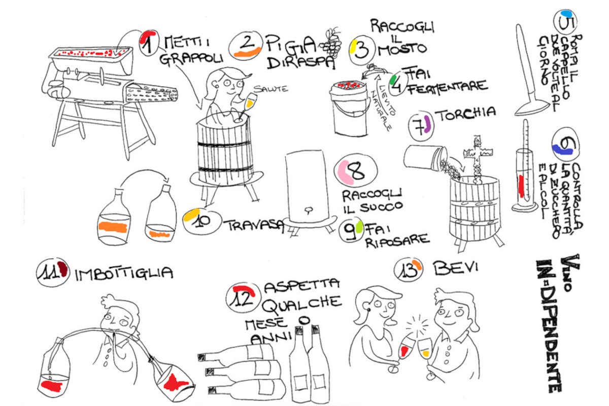 Report, il sommelier 